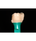 carousel_thumb