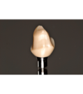 carousel_thumb